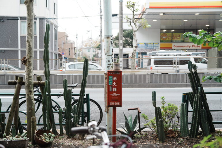 新代田 DAITASTORE(ダイタストア)